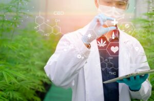 10 CBD Facts You Should Know